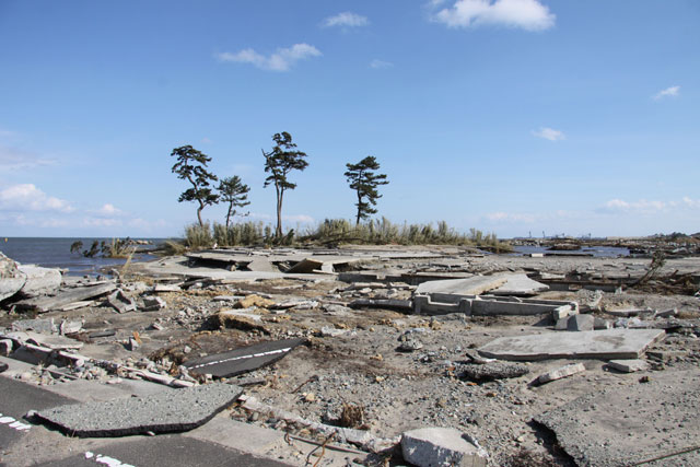 被災状況 埒浜地区