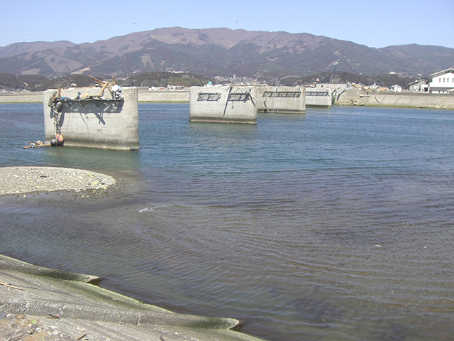 Bridge / Kesenohashi bridge / Tohoku Regional Development Bureau of MLIT