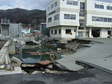 Iwate Yamada Offered by Agriculture and forestry Division / 23 Mar, 2011 / 