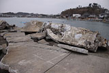 Miyagi Shichigahama Harbor / Hanabuchihama / Collapse