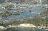 Miyagi Shichigahama Aerial photography / Aerial photograph / Geospatial Information Authority of Japan