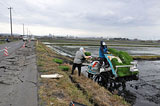 Miyagi Sendai Restoration / Rice-planting
