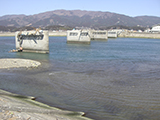 Iwate Rikuzentakata Bridge / Kesenohashi bridge / Tohoku Regional Development Bureau of MLIT