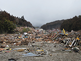 Iwate Rikuzentakata Clearance