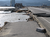 Iwate Rikuzentakata Damage