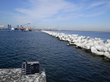 Aomori Hachinohe Harbor / After recovery